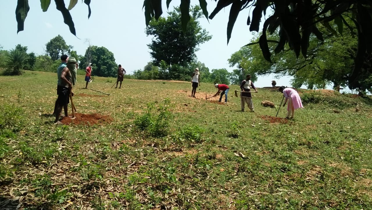 Forest Protection Committee